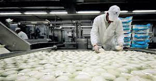 LAVORAZIONE ALIMENTARE